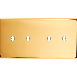 Placa del interruptor...