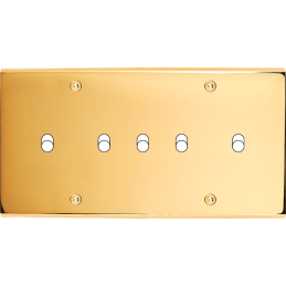 Placa del interruptor...