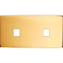 Placa del interruptor...