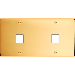 Placa del interruptor...