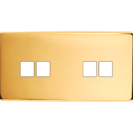 Placa del interruptor...