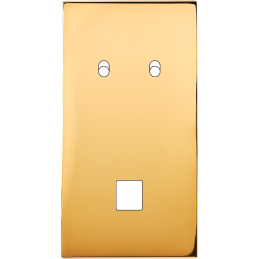 Placa de interrutor...