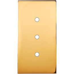 Placa del interruptor...