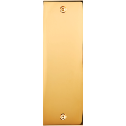 Placa del interruptor...