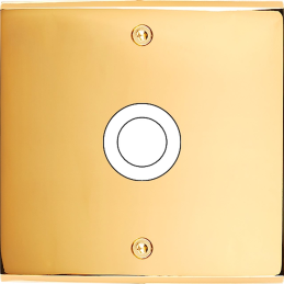 Placa de interrutor...