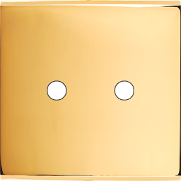 Façade Confidence laiton or...