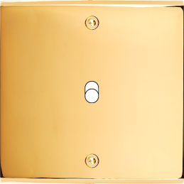 Placa de interrutor...