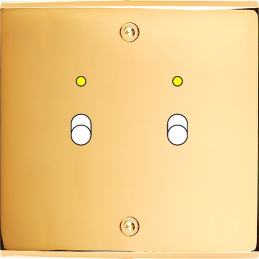 Placa de interrutor...