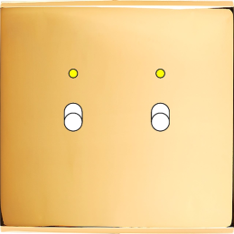 Placa de interrutor...