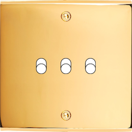 Placa del interruptor...