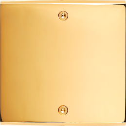 Placa del interruptor...