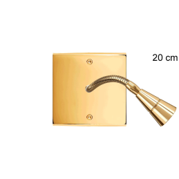 Switch plate Confidence...