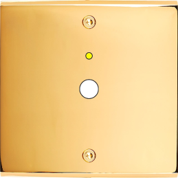 Placa de interrutor...