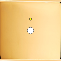 Façade Confidence laiton or...