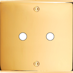 Placa del interruptor...