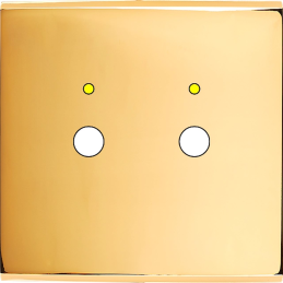 Façade Confidence laiton or...