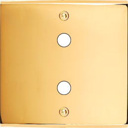 Placa del interruptor...