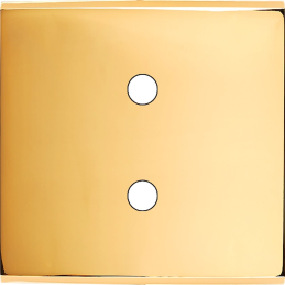 Switch plate Confidence...