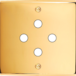 Placa de interrutor...