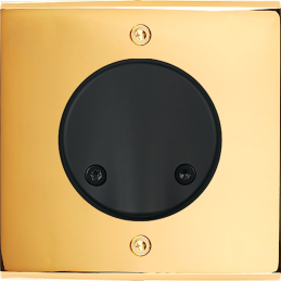 Placa de interrutor...