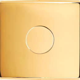 Placa de interrutor...