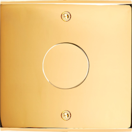 Placa de interrutor...