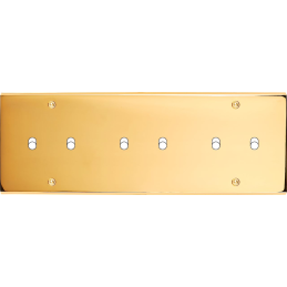 Placa del interruptor...