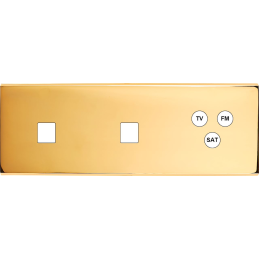 Placa del interruptor...