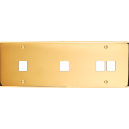 Placa del interruptor...