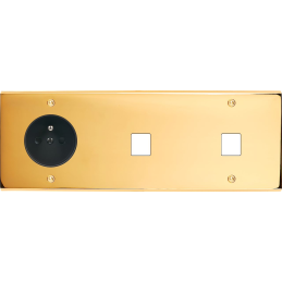 Placa del interruptor...