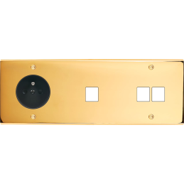 Placa del interruptor...