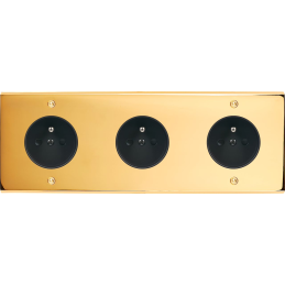 Placa del interruptor...