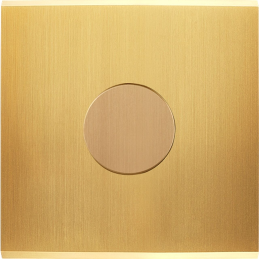 Switch plate Confidence...