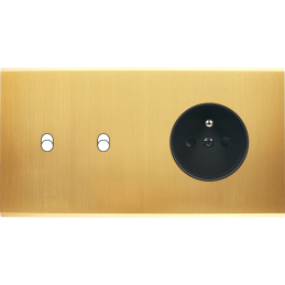 Placa del interruptor...