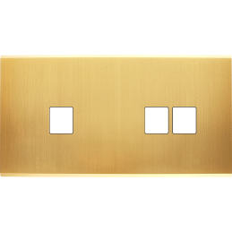 Placa del interruptor...