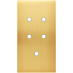 Placa del interruptor...