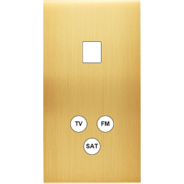 Placa del interruptor...
