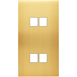 Placa del interruptor...