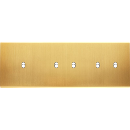 Placa del interruptor...