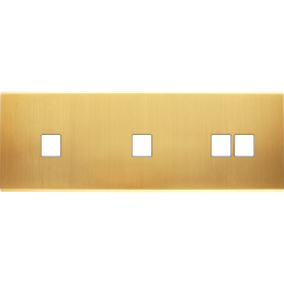 Placa del interruptor...