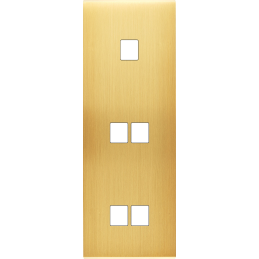 Placa del interruptor...