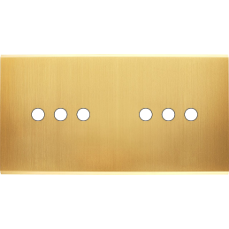 Placa del interruptor...