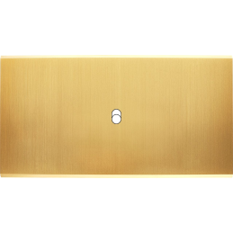 Placa del interruptor...