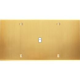 Placa del interruptor...