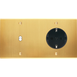 Switch plate Confidence...