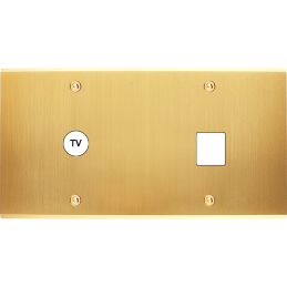 Placa del interruptor...