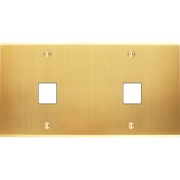 Placa de interrutor...