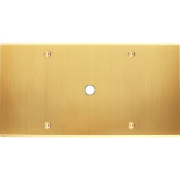 Placa del interruptor...