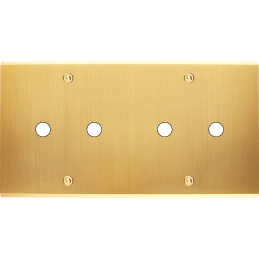 Placa del interruptor...