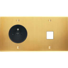 Placa del interruptor...